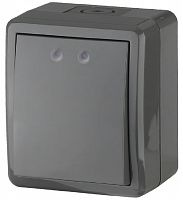 Выключатель накладной Эра Эксперт 1-кл. IP54 серый картинка